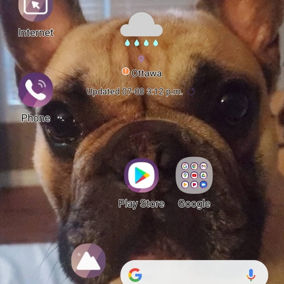 Meet your Posher, Maeve - Picture 1 of 1